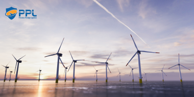 Registration 25.8 times expected - Who will be selected for offshore wind power development?